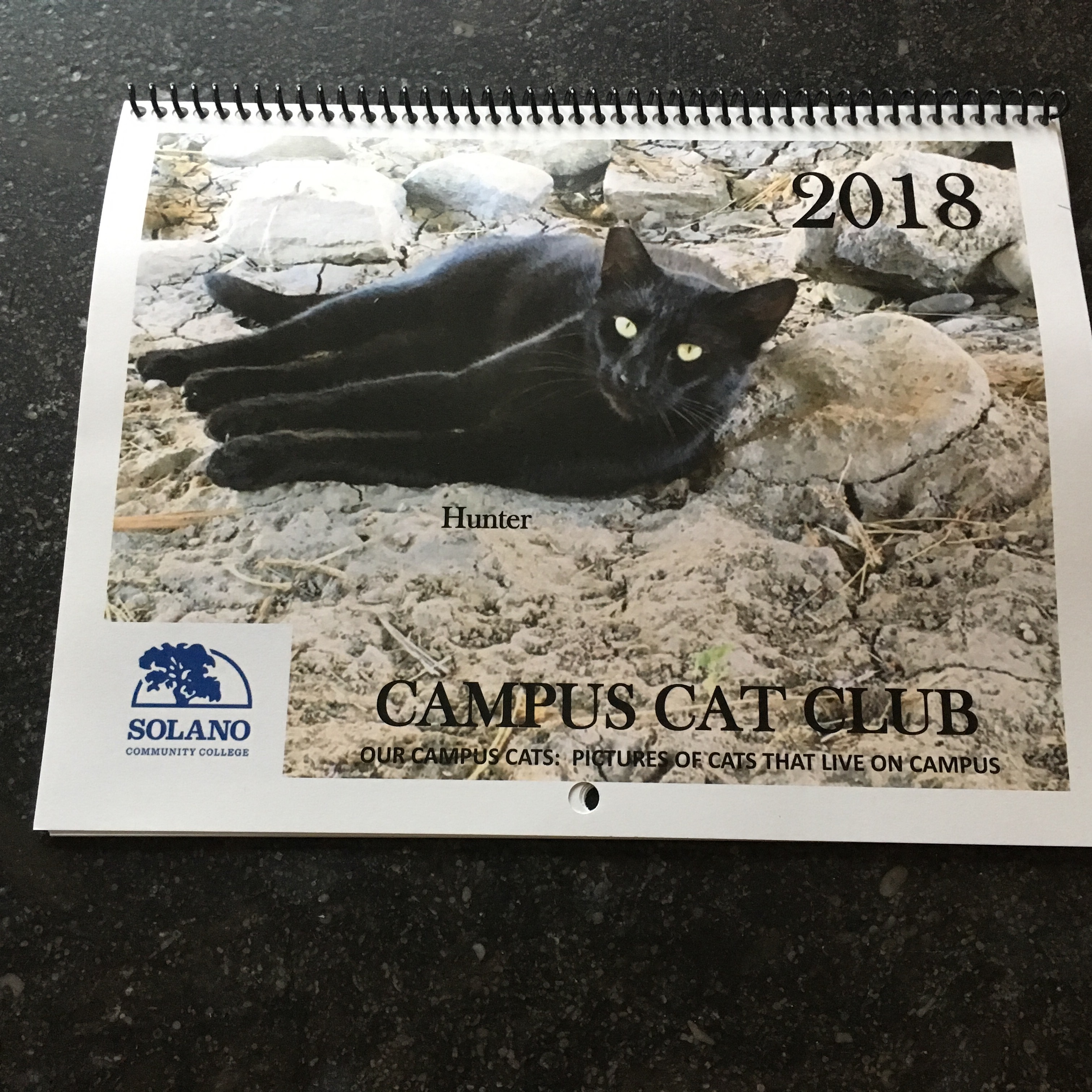2018 cat calendar